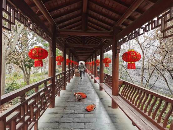 3ddc169013caae1a59f814f184072ca